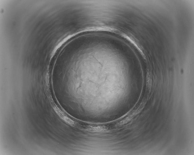 X0000087511460200705040937