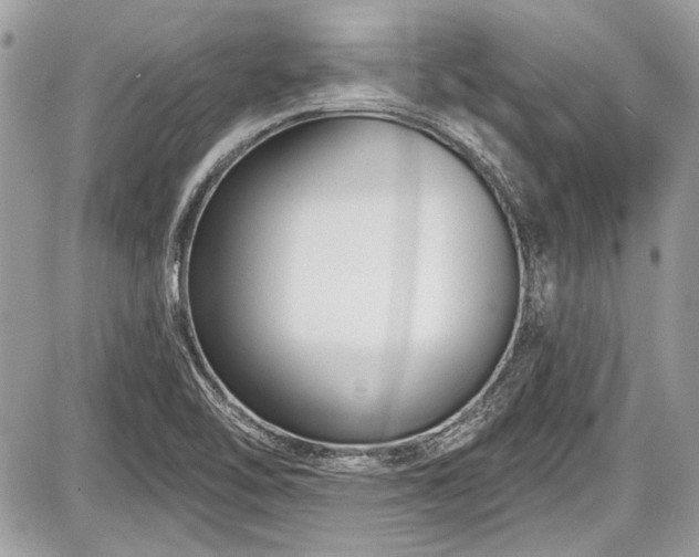 X0000087511462200705040937