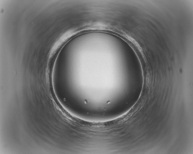 X0000087511464200705040937