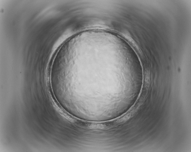 X0000087511466200705040937