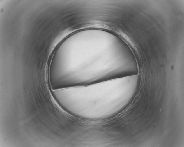 X0000087511468200705040937