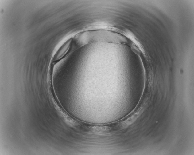 X0000087511469200705040937