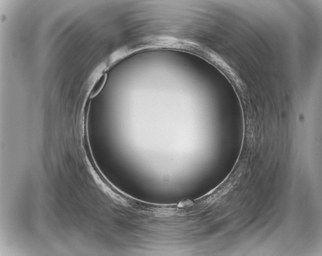 X0000087511479200705040936