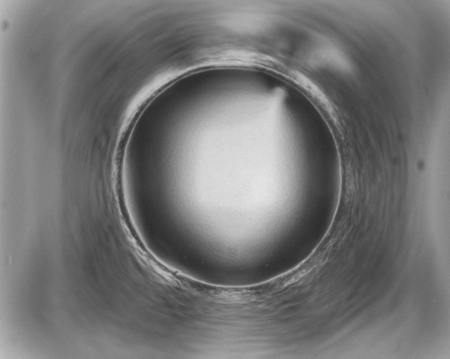 X0000087511480200705040936