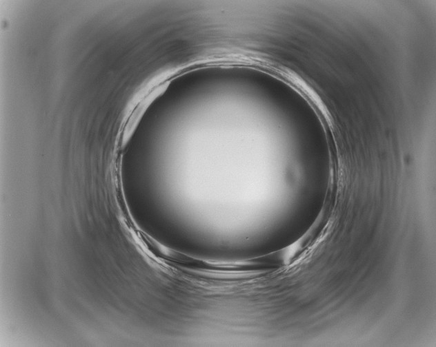 X0000087511485200705040936