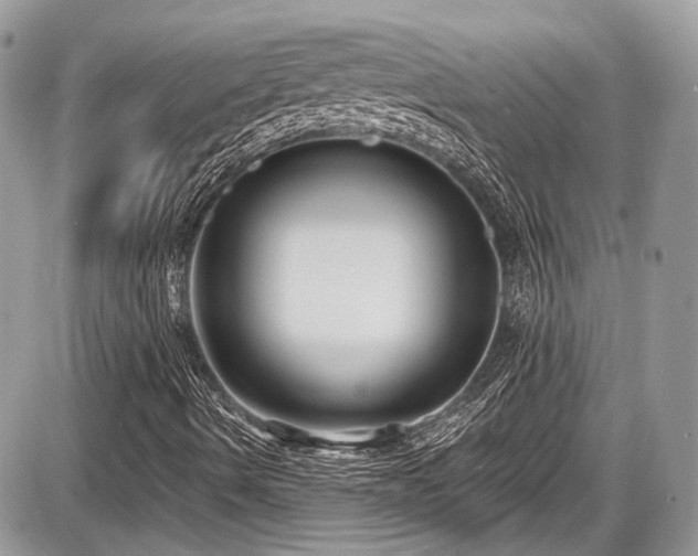 X0000087511490200705040935