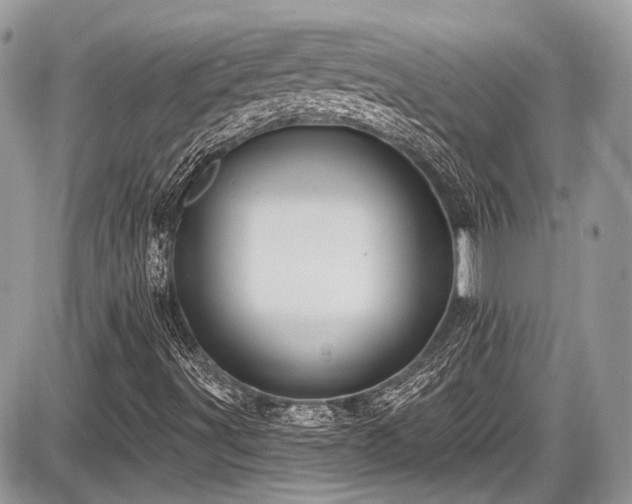 X0000087511491200705040936