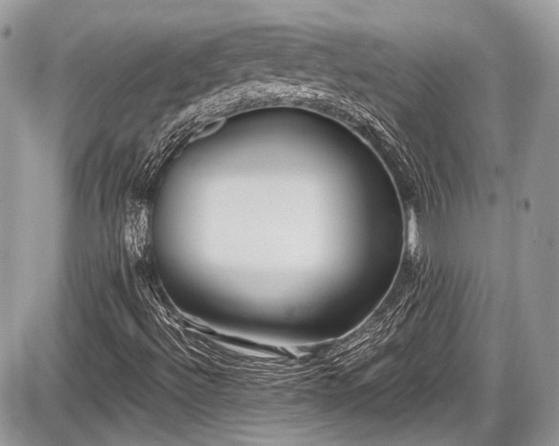 X0000087511492200705040936