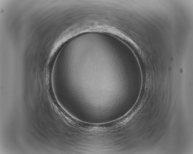 X0000087511506200705040936