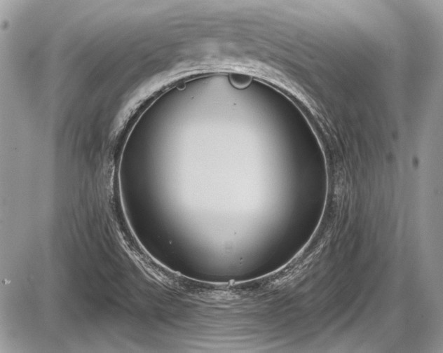 X0000087511507200705040936