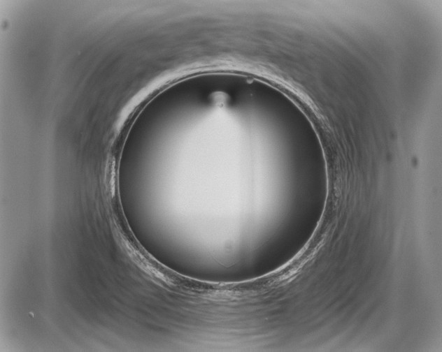 X0000087511510200705040936