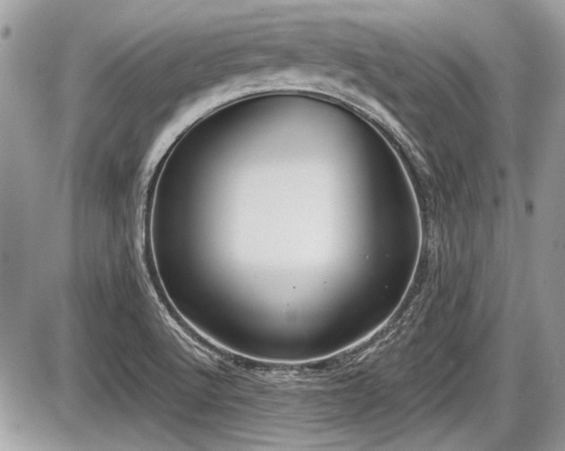 X0000087511512200705040936