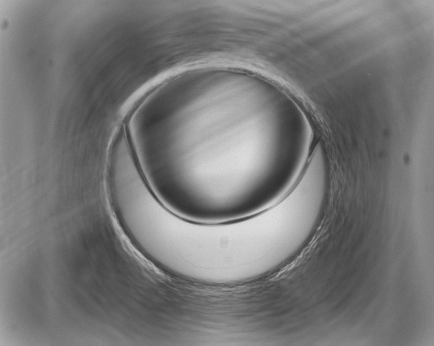 X0000087511518200705040936