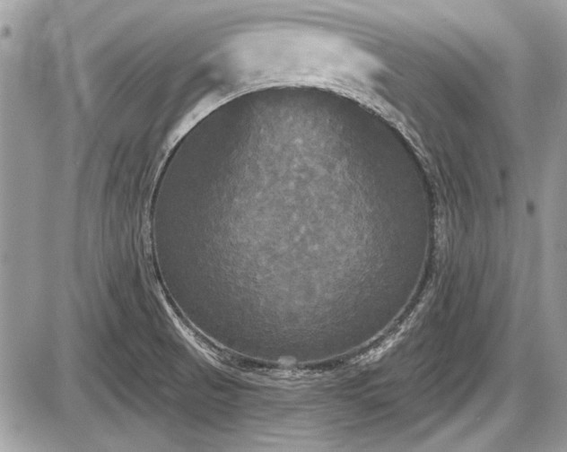 X0000087511521200705040936