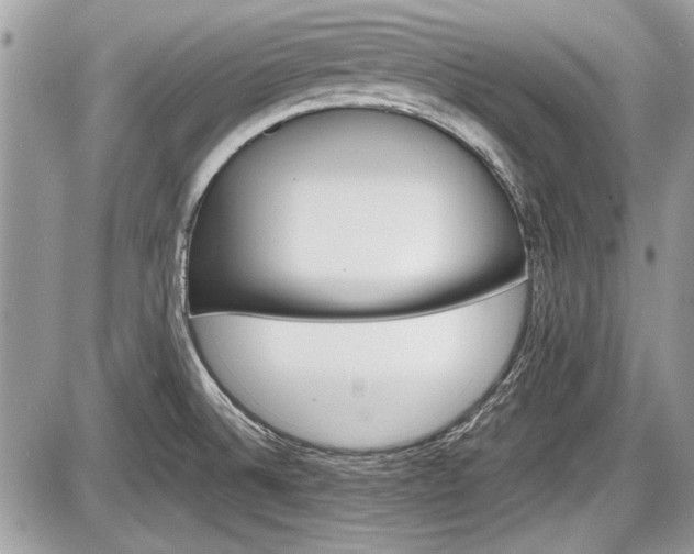 X0000087511524200705040936