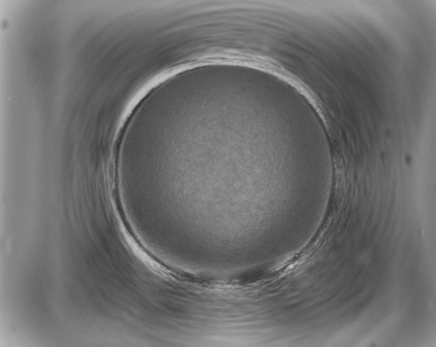 X0000087511531200705040936
