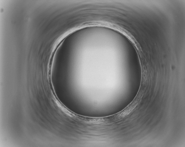 X0000087511535200705040936