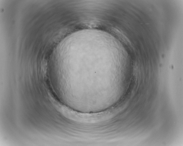 X0000087510030200705111952