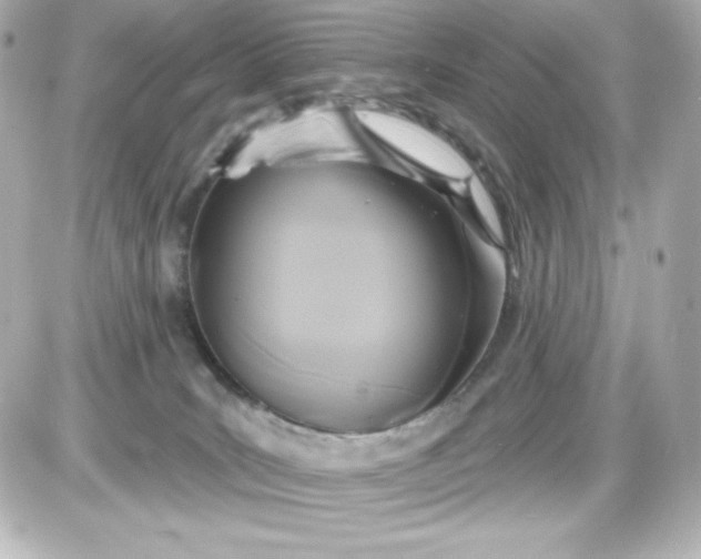X0000087510035200705111952