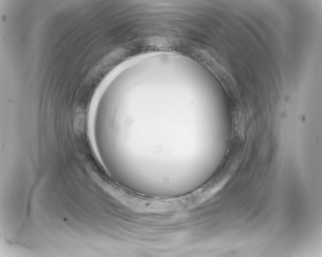 X0000087510036200705111952