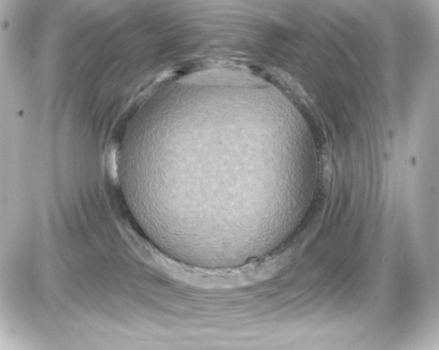 X0000087510042200705111952
