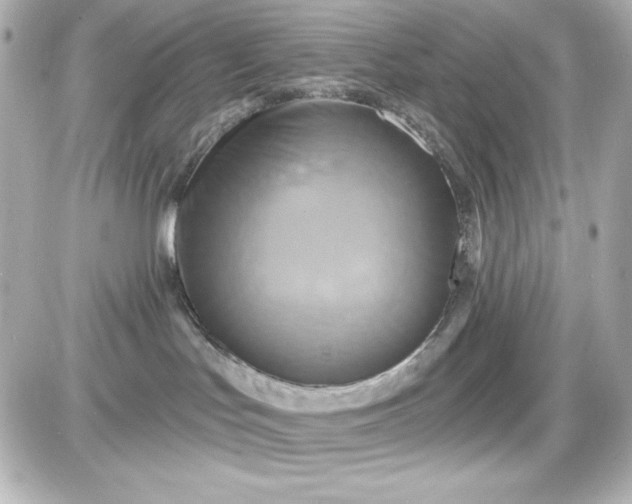 X0000087510047200705111952