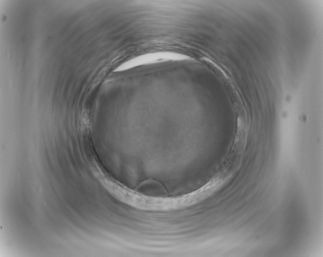 X0000087510048200705111952
