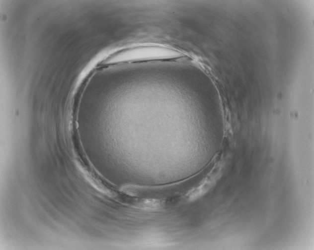 X0000087510056200705111951