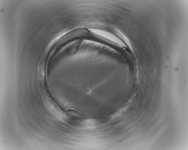 X0000087510059200705111951