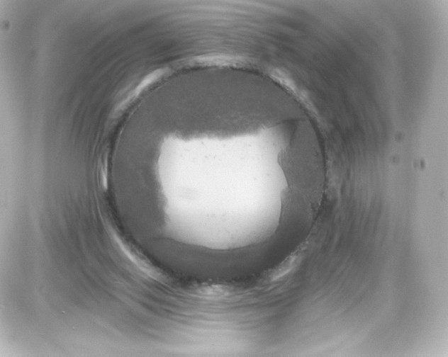 X0000087510062200705111951
