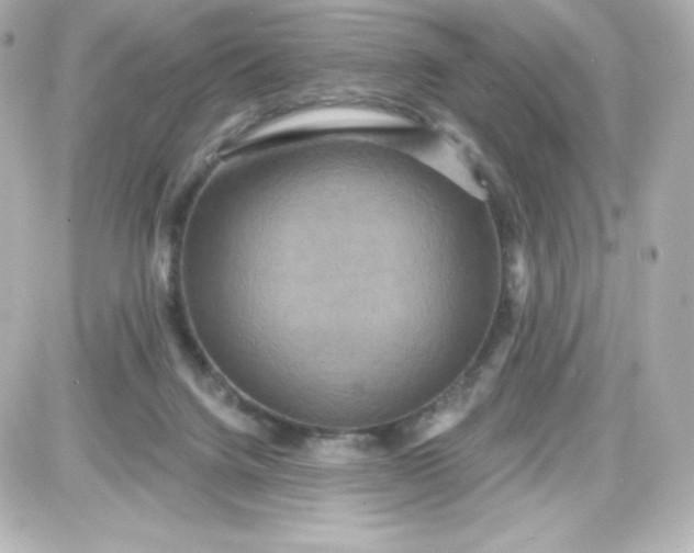 X0000087510072200705111952