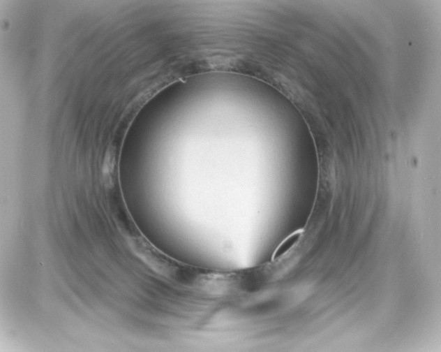X0000087510082200705111952