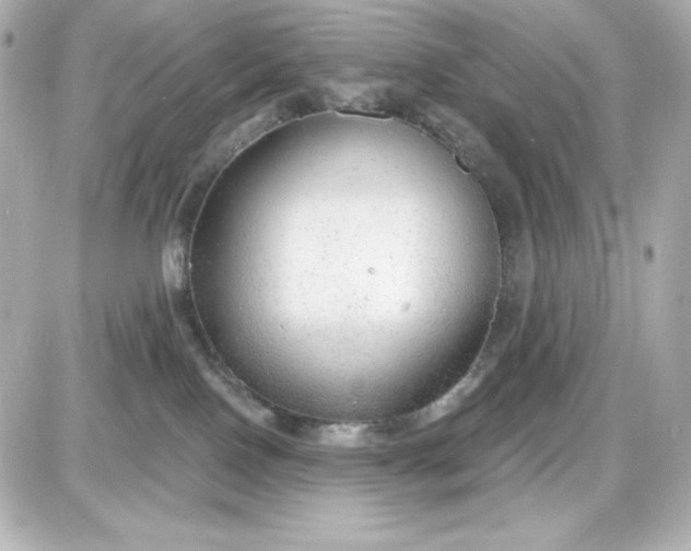 X0000087510090200705111952