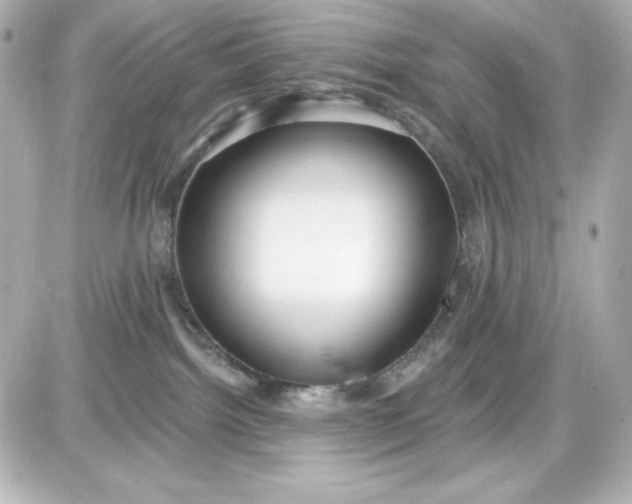 X0000087510092200705111952