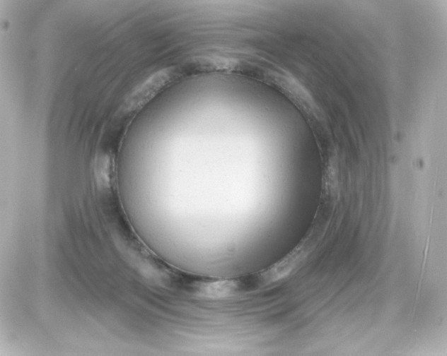 X0000087510122200705111951