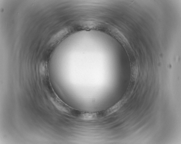 X0000087510126200705111951