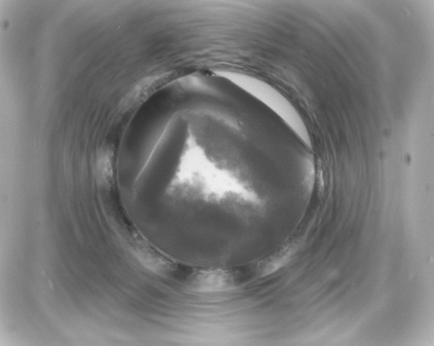 X0000087510127200705111951