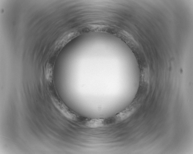 X0000087510138200705111951