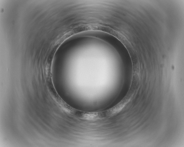 X0000087510139200705111951