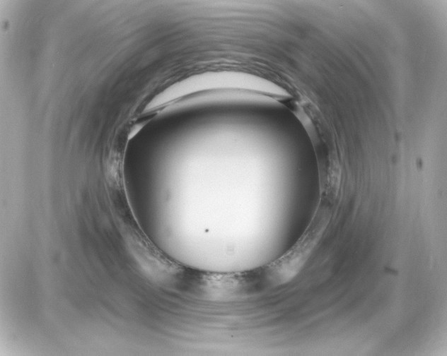 X0000087510141200705111950