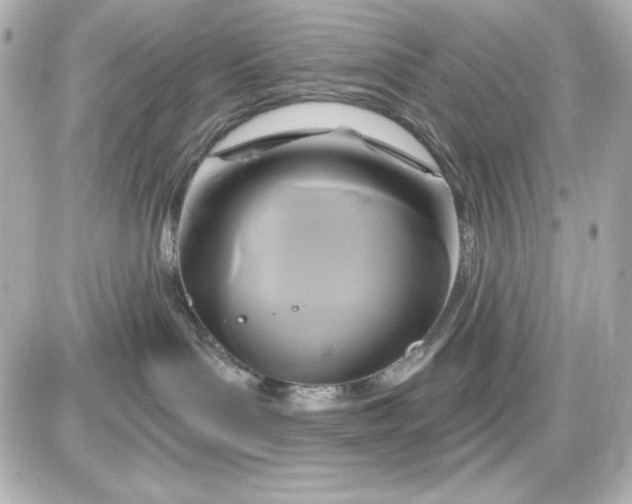 X0000087510143200705111950