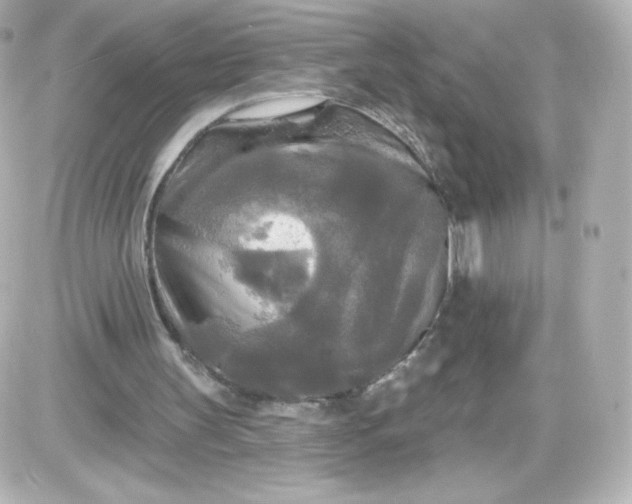 X0000087510147200705111950