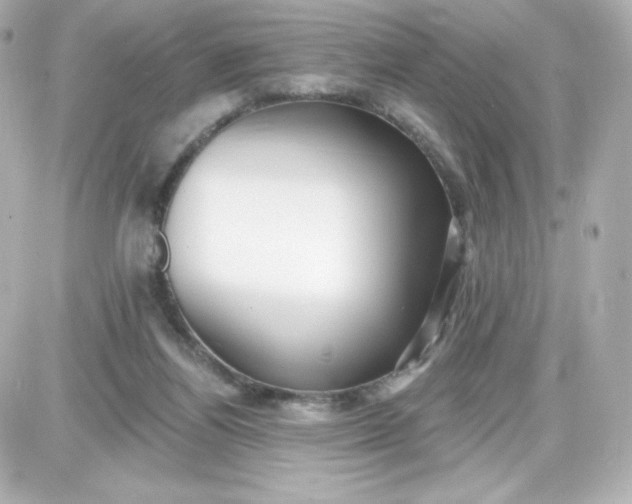 X0000087510164200705111950