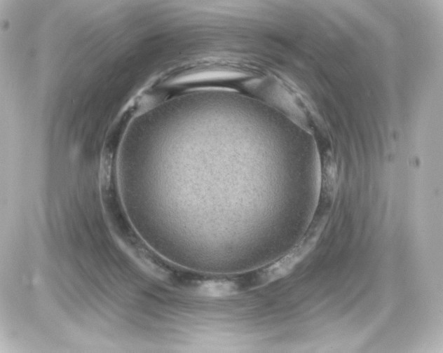 X0000087510168200705111950