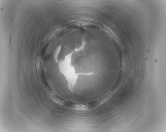 X0000087510169200705111950