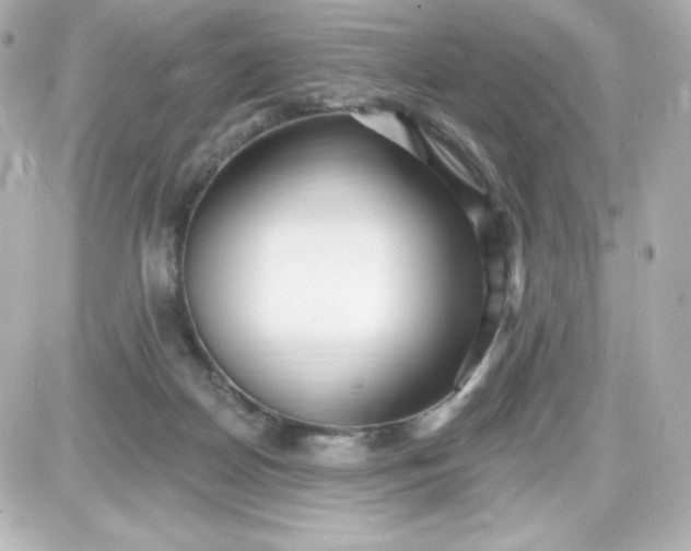 X0000087510170200705111950