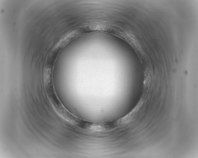 X0000087510171200705111950