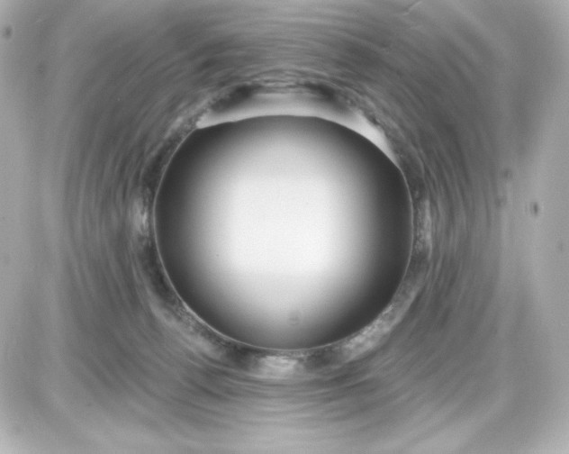 X0000087510176200705111950