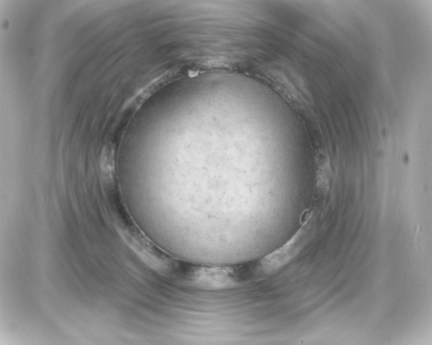 X0000087510179200705111950
