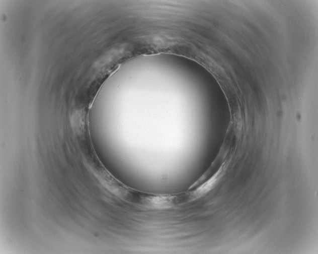 X0000087510184200705111950